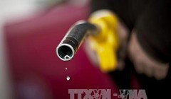 Thị trường dầu hiện vẫn trong tình trạng dư thừa nguồn cung. Ảnh: AFP/TTXVN