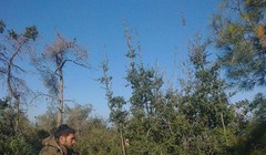 Lữ đoàn 103 giành 3 điểm cao quanh thị trấn Al-Rabi'yah