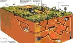 Địa đạo Củ Chi và những cạm bẫy khiến Mỹ kinh hoàng