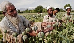 Video: Afganhistan – thị trường và chiến tranh thuốc phiện