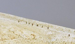 Lực lượng Tigers giành được núi Tal SyriaTel, Tây Palmyra (video)