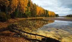 Mùa thu vàng ở Nga