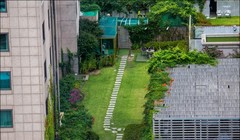 Vườn nhiệt đới trên mái nhà ở Seul