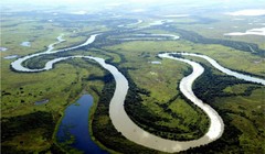 Khu thiên nhiên hoang dã Pantanal - bang Mato Grosso do Sul - Brazil