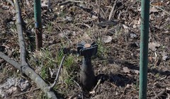 Chiến tuyến khu vực Donbass bị pháo kích bằng đạn pháo và cối thường xuyên