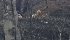 Ảnh minh họa từ video WarGonzo