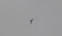 Máy bay không người lái trên bầu trời Đông Ghouta - ảnh Masdar News