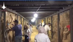 Nhóm họa sĩ đang làm việc