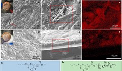 Ảnh hiển vi kỹ thuật số natri lắng đọng trên bộ thu đồng (điện cực)