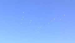 Quân đội Syria diễn tập đổ bộ đường không. Ảnh video Bộ Quốc phòng Nga.