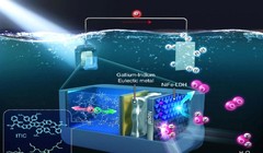 Quy trình sản xuất hydro "tách nước quang điện hóa (PEC)". Ảnh SciTechDaily