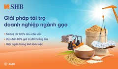 SHB triển khai giải pháp tài chính toàn diện dành cho các doanh nghiệp lúa gạo