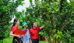 Agribank tích cực hỗ trợ hộ kinh doanh chuyển đổi thành doanh nghiệp