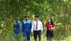 Agribank - Cầu nối chiến lược đưa tín chỉ carbon Việt Nam vươn ra thị trường quốc tế