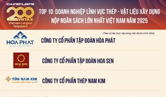 Hòa Phát là doanh nghiệp thép nộp ngân sách lớn nhất Việt Nam