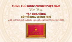 Tập đoàn BRG được trao tặng Cờ Thi đua Chính phủ