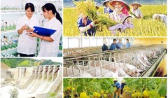 Ảnh minh họa. Nguồn Internet