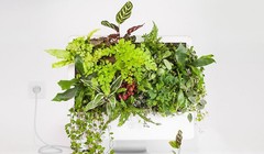 Dùng máy tính Mac trồng cây: đừng quá phụ thuộc vào công nghệ