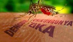 Ảnh minh họa. Nguồn Internet