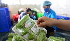 Ảnh minh họa. Nguồn Internet