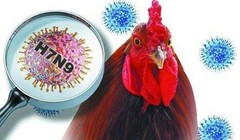 Ảnh minh họa. Nguồn Internet