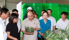 Ảnh minh họa. Nguồn Internet