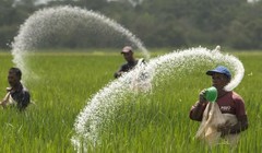 Ảnh minh họa. Nguồn Internet