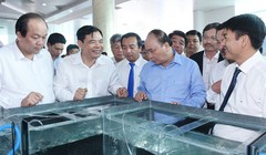 Thủ tướng thăm một mô hình nuôi tôm