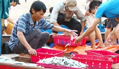 Ảnh minh họa. Nguồn Internet