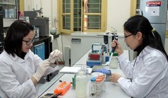 Ảnh minh họa. Nguồn Internet