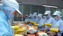 Ảnh minh họa. Nguồn Internet