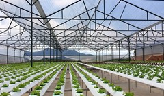 Ảnh minh họa. Nguồn Internet