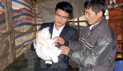 Ảnh minh họa. Nguồn Internet