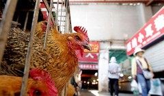 Ảnh minh họa. Nguồn Internet