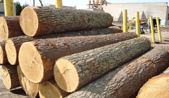 Ảnh minh họa. Nguồn: Internet