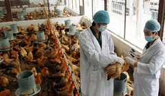 Ảnh minh họa. Nguồn Internet