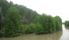 Ảnh minh họa. Nguồn Internet