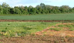 Ảnh minh họa. Nguồn Internet