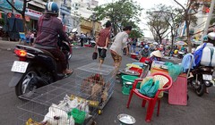 Ảnh minh họa. Nguồn Internet