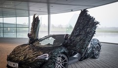  Để hoàn thành việc phủ lông vũ lên thân, những người thợ của McLaren đã phải làm việc thủ công trong hơn 300 giờ, lâu hơn cả thời gian sản xuất xe.