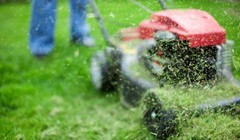 Cỏ sẽ được xử lý để chuyển hóa thành nhiên liệu nhanh hơn. Ảnh: Engadget.