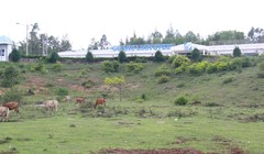 Ảnh minh họa. Nguồn Internet