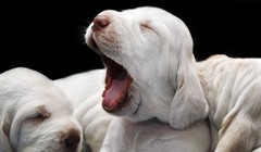 Ảnh minh họa. Nguồn Internet