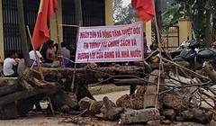 Ảnh minh họa. Nguồn Sputnick