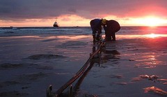 Ảnh minh họa. Nguồn Dân trí.