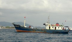 Ảnh minh họa. (Nguồn: TTXVN)