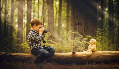 Một trong những bức ảnhPhillip Haumesser chụp cậu con trai mình bằng bộ thiết bị giá 200 USD.