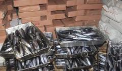 Ảnh minh họa. Nguồn Internet