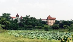 Ảnh minh họa. Nguồn Tri thức trẻ