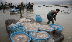 Ảnh minh họa. (Nguồn: photoshelter.com)